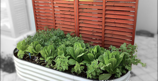 家裝格調(diào)小盤點(diǎn)，這樣的風(fēng)格你喜歡嗎